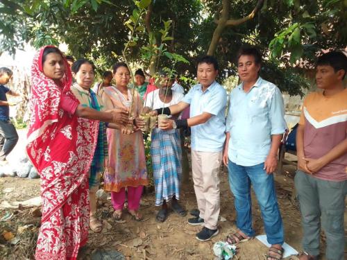 Input-supports-to-Ma-group- -hafchari guimara